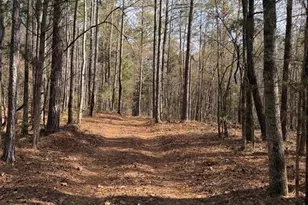 +/- 198 Acres Dennis Creek Rd, Talbotton, GA 31827 - Photo 1