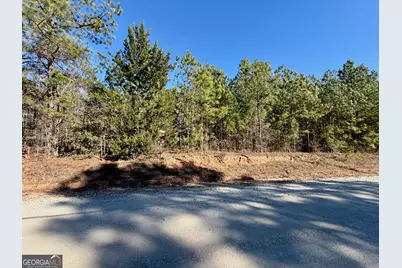 3075 Gregg Shoals Drive, Elberton, GA 30635 - Photo 6