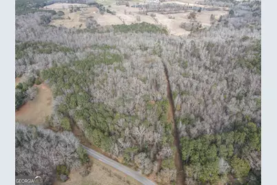 151 Evans Road, Milner, GA 30257 - Photo 36