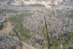 151 Evans Rd, Milner, GA 30257 - Photo 36