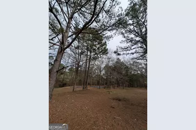 11080 White House Parkway, Woodbury, GA 30293 - Photo 32