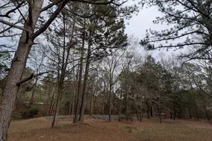 11080 Whitehouse Pkwy, Woodbury, GA 30293 - Photo 32