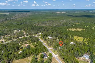 261 Colorado Rd, Alma, GA 31510 - Photo 50