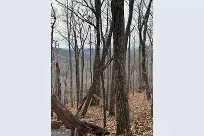Lot 109A Folkstone Road, Talking Rock, GA 30175 - Photo 20