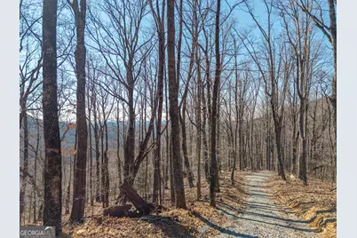 Lot 109A Folkstone Road, Talking Rock, GA 30175 - Photo 4