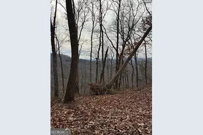 Lot 109B Folkstone Road, Talking Rock, GA 30175 - Photo 24