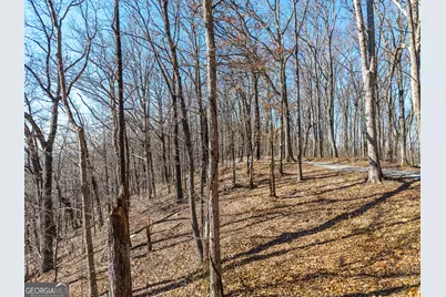 Lot 109B Folkstone Road, Talking Rock, GA 30175 - Photo 18