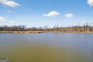 424 Henry Higgins Rd, Jackson, GA 30233 - Photo 28