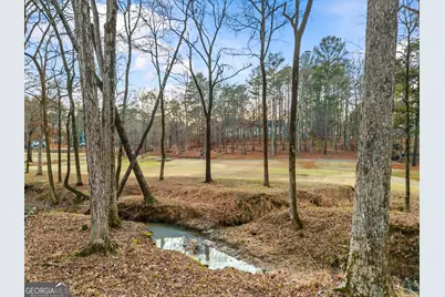 1041 Pinehurst Drive, Greensboro, GA 30642 - Photo 64