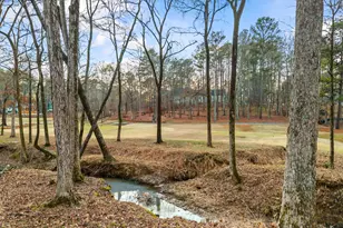 1041 Pinehurst Dr, Greensboro, GA 30642 - Photo 64