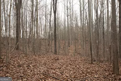 0 Kesler, Carnesville, GA 30521 - Photo 2