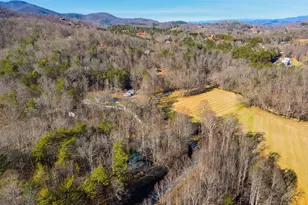 1637 Townsend Mill Rd, Young Harris, GA 30582 - Photo 2