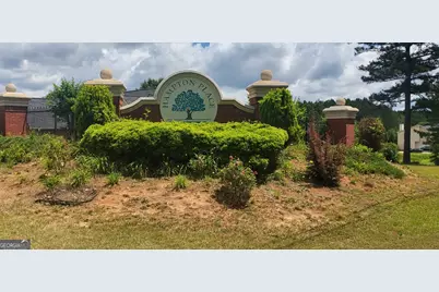136 Harrison Place, Hampton, GA 30228 - Photo 2