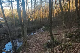 2911 Paradise Valley Rd, Cleveland, GA 30528 - Photo 8