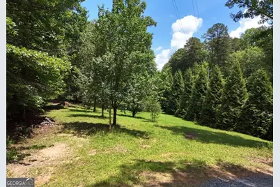 3373 Hardscrabble Road, Mineral Bluff, GA 30559 - Photo 6