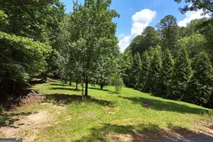 3373 Hardscrabble Rd, Mineral Bluff, GA 30559 - Photo 6