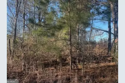 4381 Nessmith Road, Statesboro, GA 30458 - Photo 10