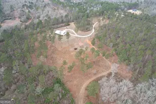 580 I B Howard Rd, Williamson, GA 30292 - Photo 96