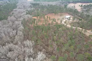 580 I B Howard Rd, Williamson, GA 30292 - Photo 94