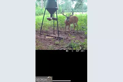 580 I B Howard Road, Williamson, GA 30292 - Photo 122