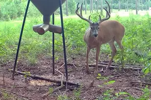 580 I B Howard Rd, Williamson, GA 30292 - Photo 122