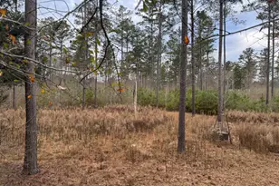 580 I B Howard Rd, Williamson, GA 30292 - Photo 110