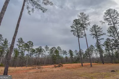 580 I B Howard Road, Williamson, GA 30292 - Photo 76