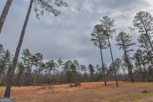 580 I B Howard Rd, Williamson, GA 30292 - Photo 76