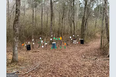 580 I B Howard Road, Williamson, GA 30292 - Photo 118