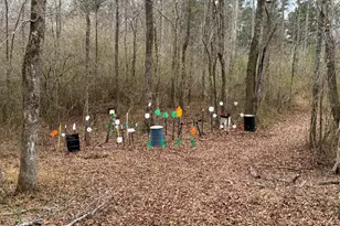 580 I B Howard Rd, Williamson, GA 30292 - Photo 118