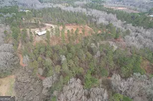 580 I B Howard Rd, Williamson, GA 30292 - Photo 100