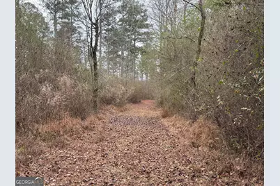 580 I B Howard Road, Williamson, GA 30292 - Photo 116