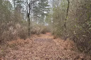 580 I B Howard Rd, Williamson, GA 30292 - Photo 116