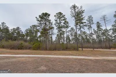 580 I B Howard Road, Williamson, GA 30292 - Photo 60