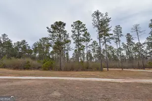 580 I B Howard Rd, Williamson, GA 30292 - Photo 60