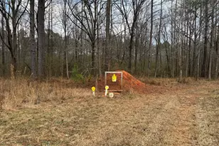 580 I B Howard Rd, Williamson, GA 30292 - Photo 114