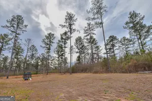 580 I B Howard Rd, Williamson, GA 30292 - Photo 66