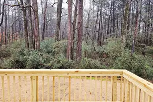 156 Scarlett Pl Dr, Bowdon, GA 30108 - Photo 12