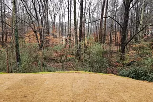 152 Scarlett Pl Dr, Bowdon, GA 30108 - Photo 14