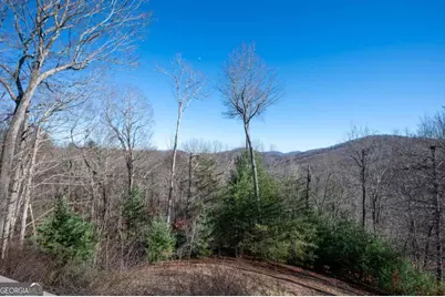 244 Tipton Court, Cherry Log, GA 30522 - Photo 84