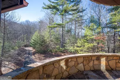 244 Tipton Court, Cherry Log, GA 30522 - Photo 68