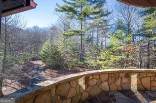 244 Tipton Court, Cherry Log, GA 30522 - Photo 68