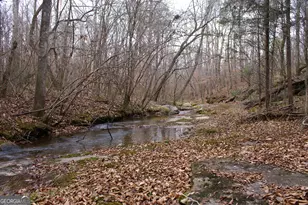 1140 City Pond Rd, Barnesville, GA 30204 - Photo 36