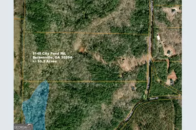 1140 City Pond Road, Barnesville, GA 30204 - Photo 38