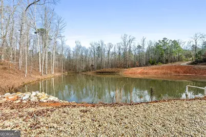 1140 City Pond Road, Barnesville, GA 30204 - Photo 30