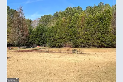 121 Magnolia Farms Drive, Milner, GA 30257 - Photo 6