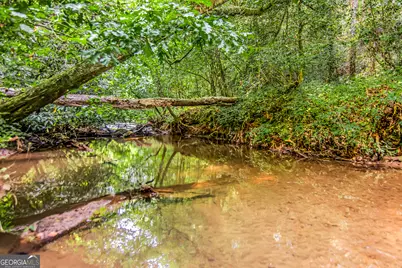 416 Mill Stone Mountain Lane, Blue Ridge, GA 30513 - Photo 4