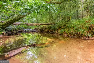 416 Mill Stone Mountain Ln, Blue Ridge, GA 30513 - Photo 4