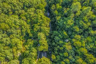 416 Mill Stone Mountain Ln, Blue Ridge, GA 30513 - Photo 44