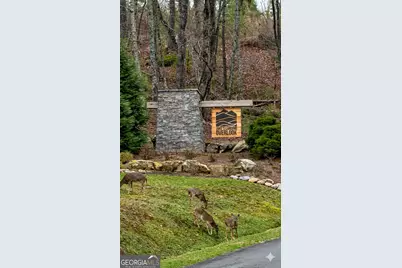 107 Lake Top Lane, Ellijay, GA 30540 - Photo 42
